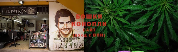 Альфа ПВП Костерёво