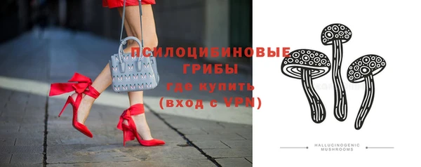 мдпв Корсаков