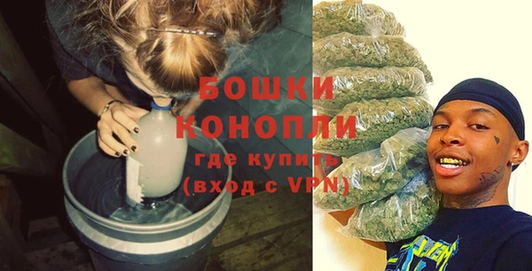 сатива Фёдоровский