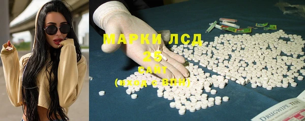 сатива Калининец