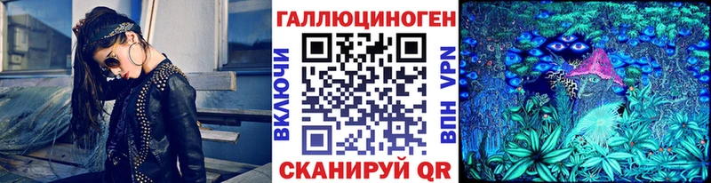 Галлюциногенные грибы Psilocybine cubensis KRAKEN сайт Сунжа