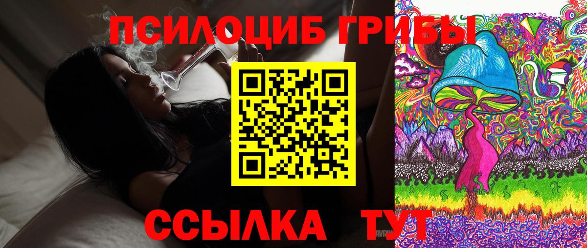 Псилоцибиновые грибы Psilocybine cubensis  Вход с VPN  Сунжа 