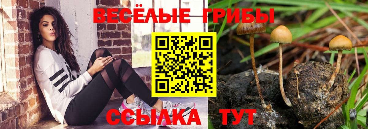 Сунжа  ГАШИШ  ЭКСТАЗИ  Кокаин  ГАШИШ  Марихуана  Меф МЯУ МЯУ кристаллы  A-PVP СК  