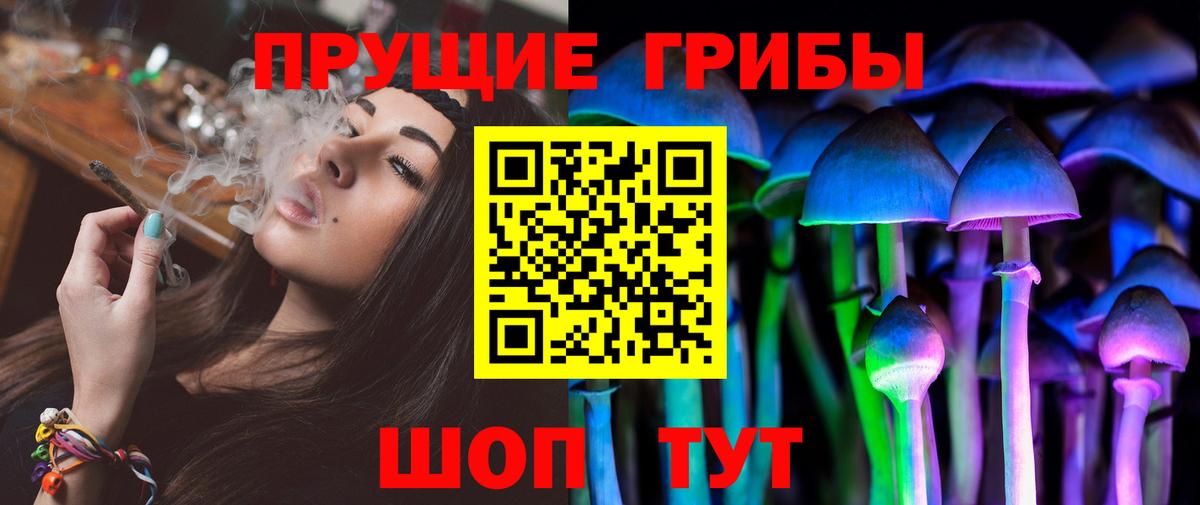 Галлюциногенные грибы GOLDEN TEACHER  Сунжа  Псилоцибиновые грибы прущие грибы 
