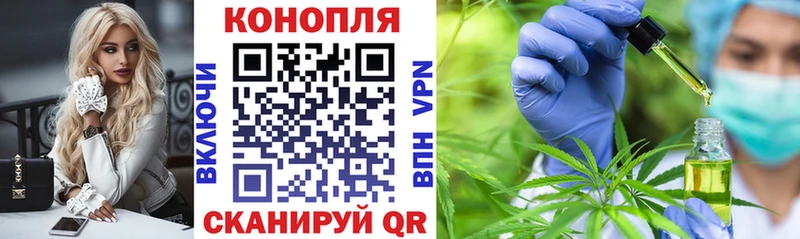 кракен ONION  купить  цена  Сунжа  Канабис SATIVA & INDICA 